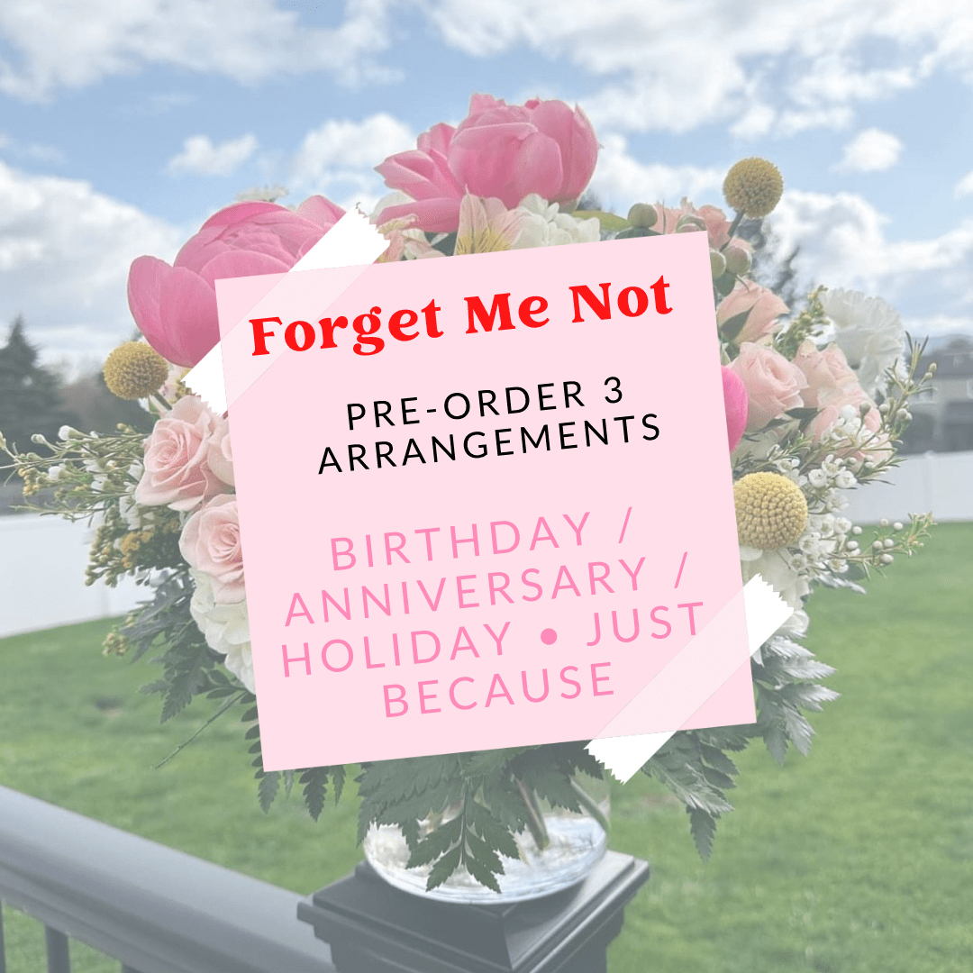 Forget - Me - Not - The Petal Parcel