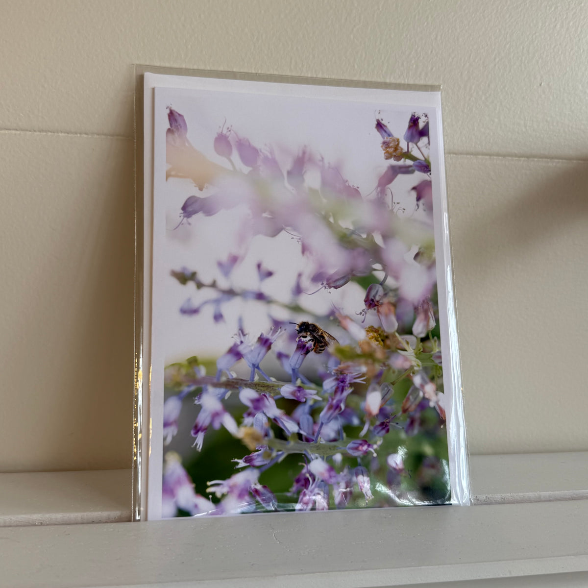 5x7 cards - local artist!