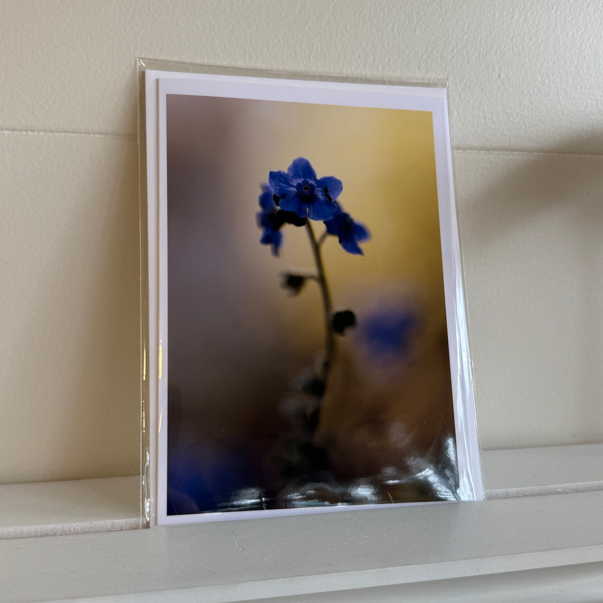 5x7 cards - local artist!