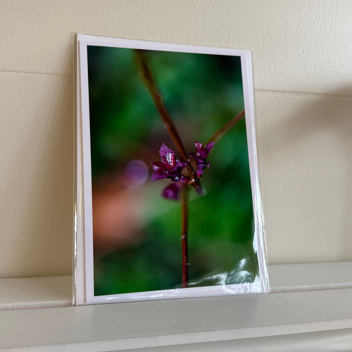 5x7 cards - local artist!