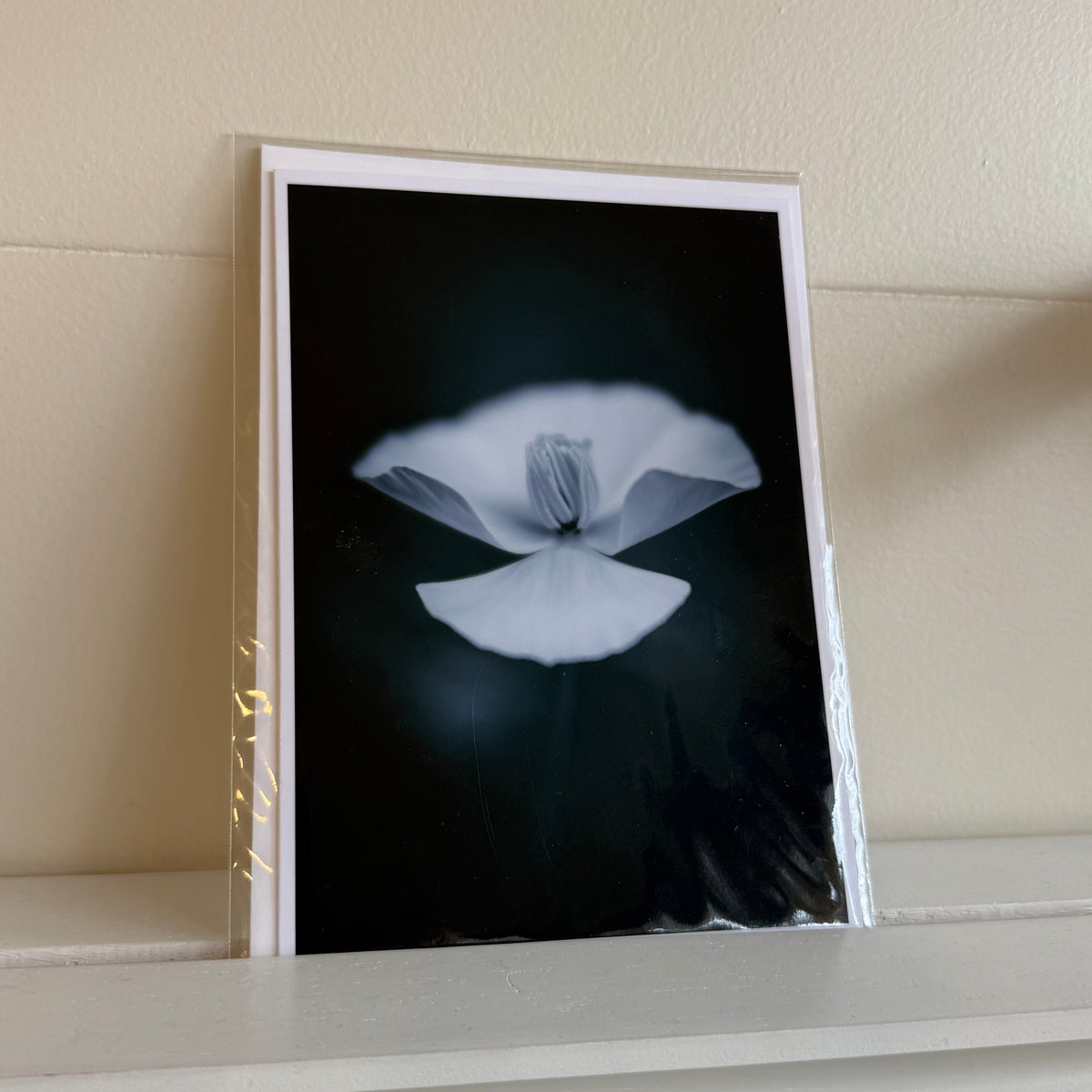 5x7 cards - local artist!
