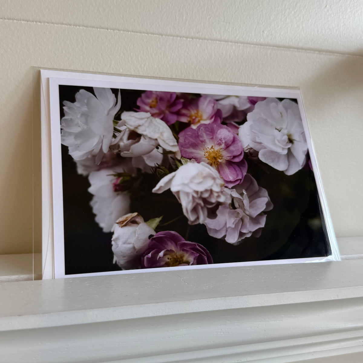 5x7 cards - local artist!