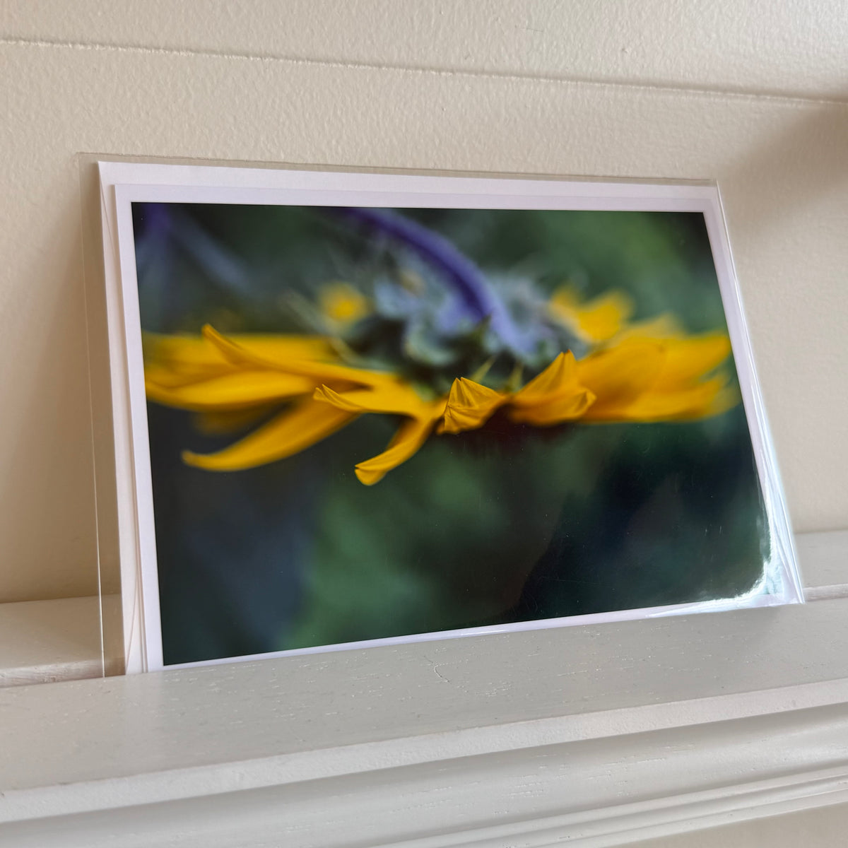 5x7 cards - local artist!