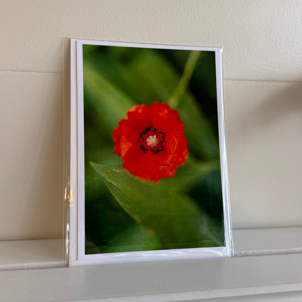 5x7 cards - local artist!