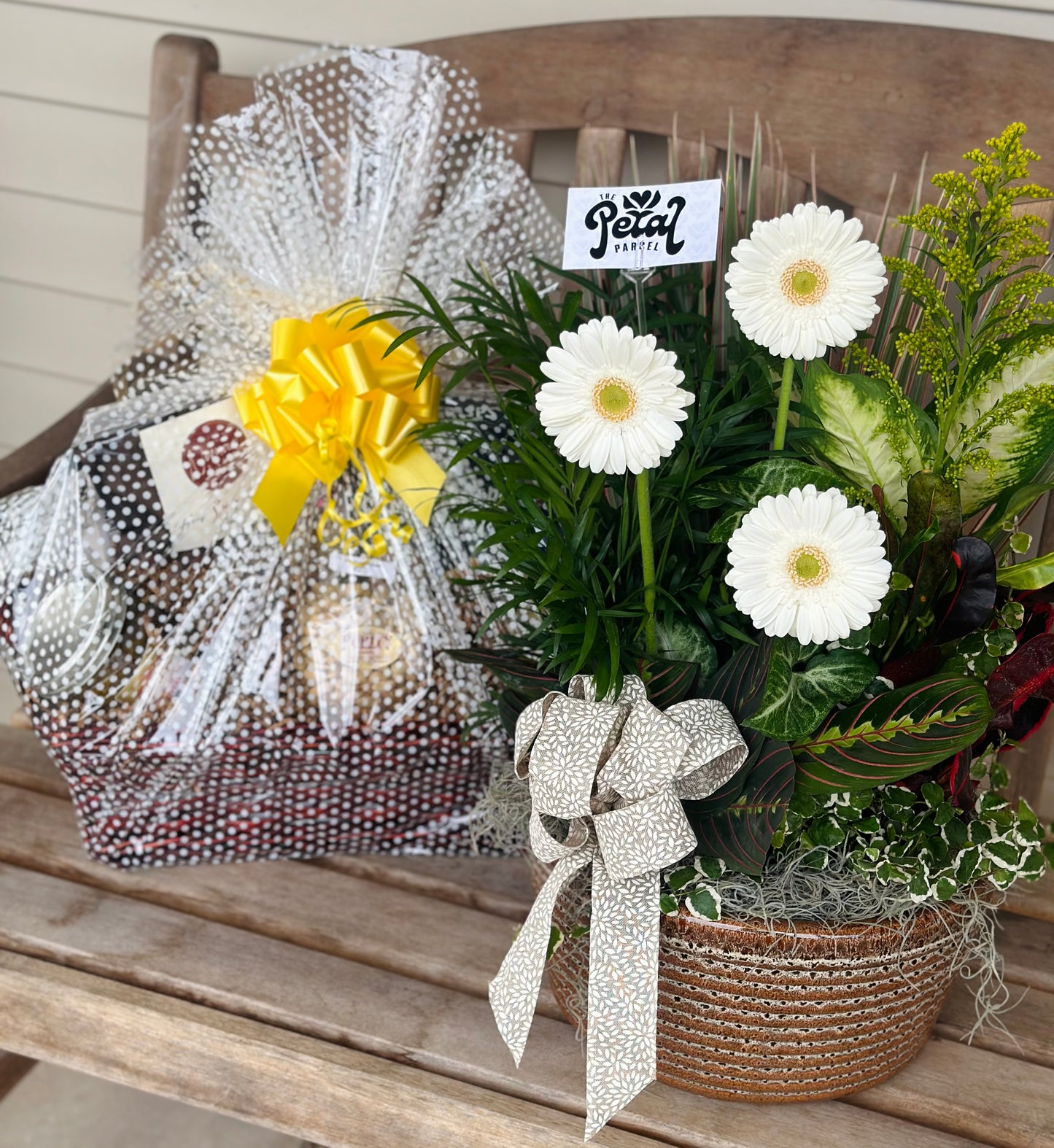 Sympathy Bundle