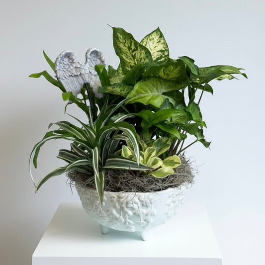 Angels Among Us - Dishgarden