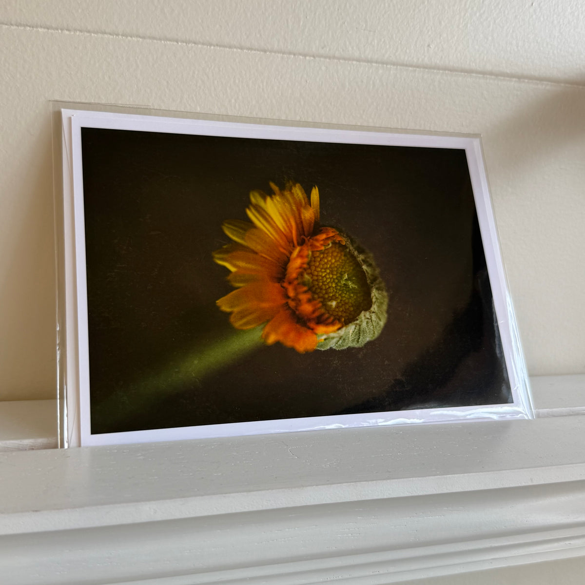 5x7 cards - local artist!