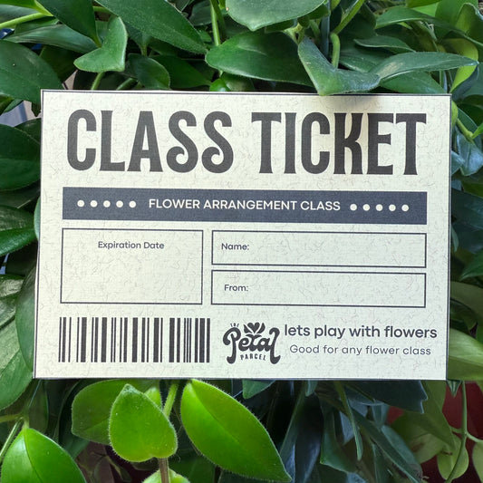 class ticket!