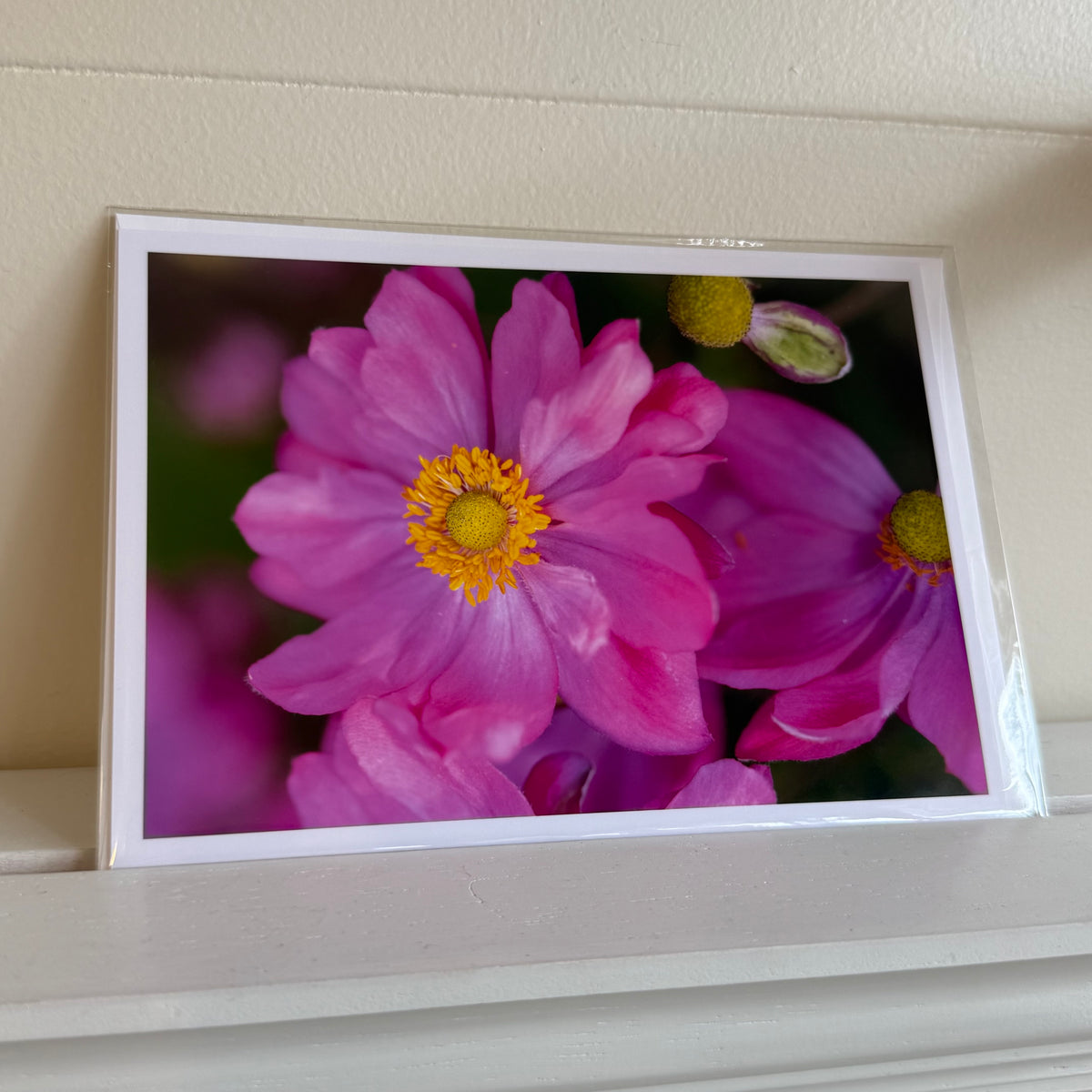 5x7 cards - local artist!
