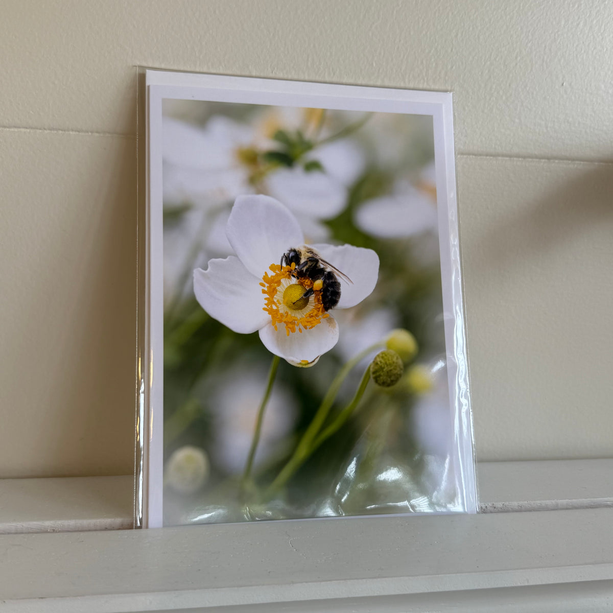 5x7 cards - local artist!