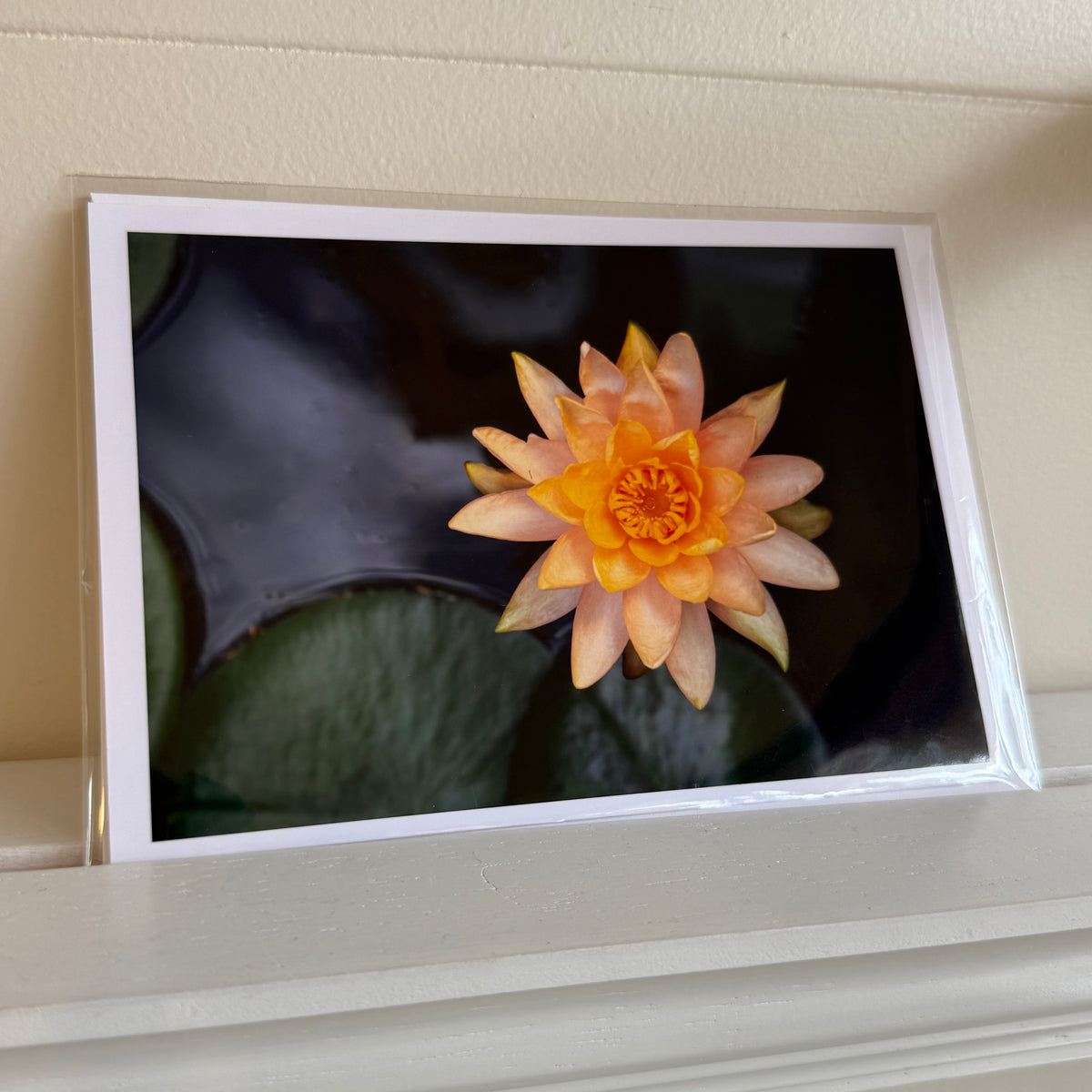 5x7 cards - local artist!