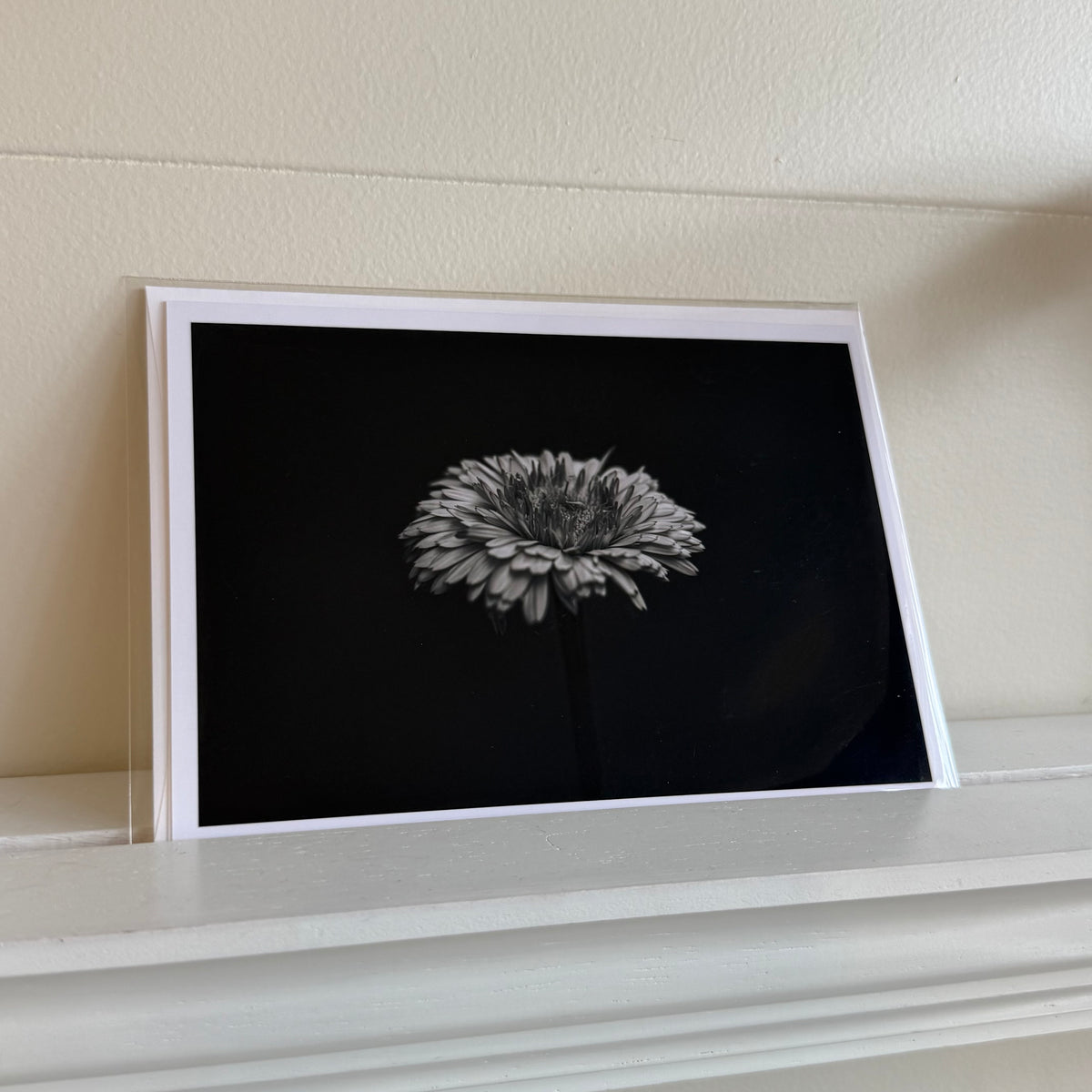5x7 cards - local artist!