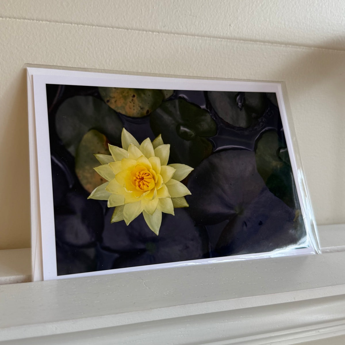 5x7 cards - local artist!