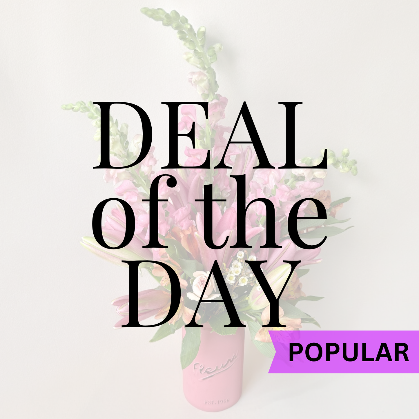 DEAL OF THE DAY