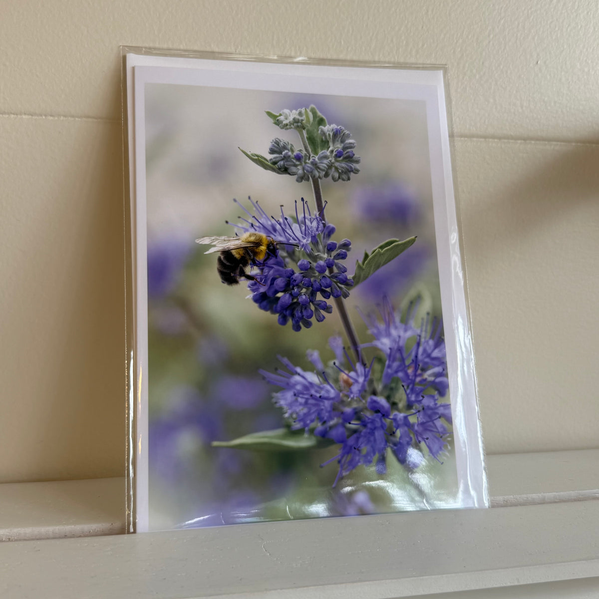 5x7 cards - local artist!