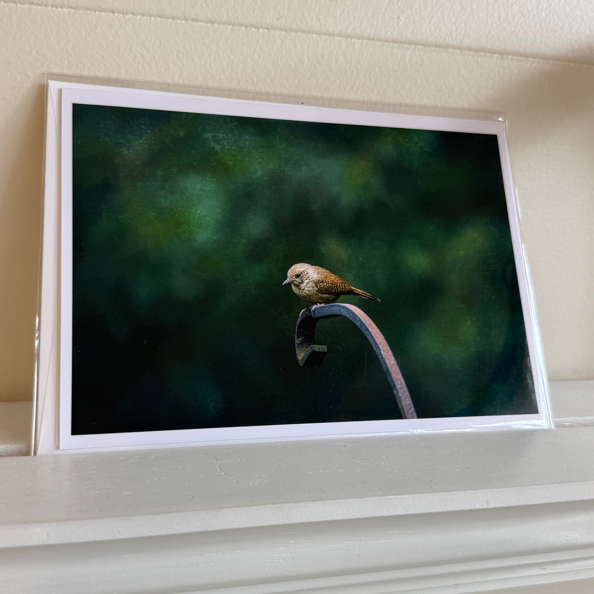 5x7 cards - local artist!