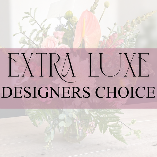 Extra Luxe Designer’s Choice