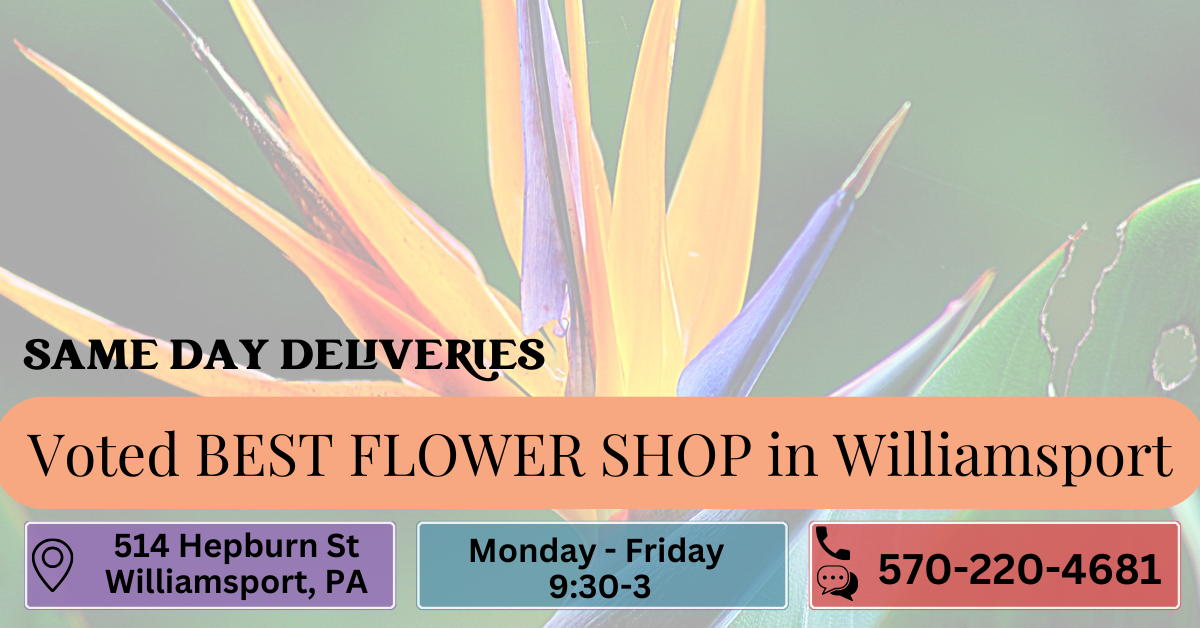 Petal pa discount
